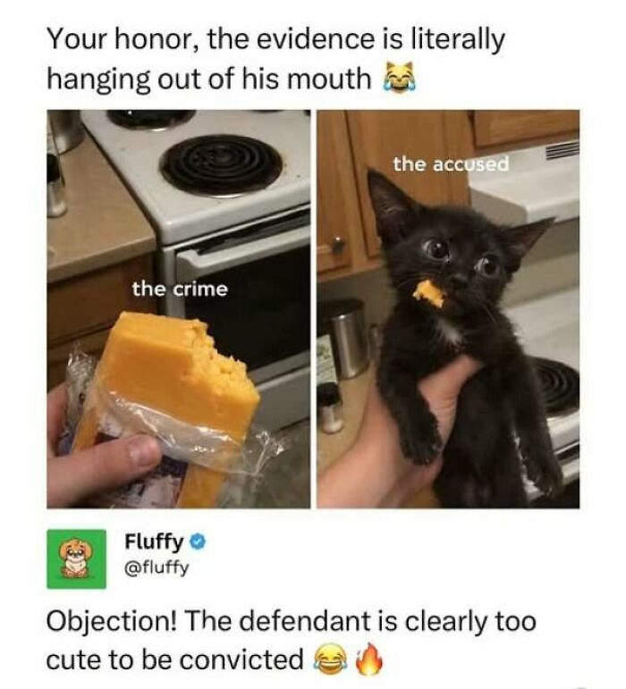 67 Wholesome Memes That Are Funny For All The Right Reasons 67 Wholesome Memes That Are Funny For All The Right Reasons