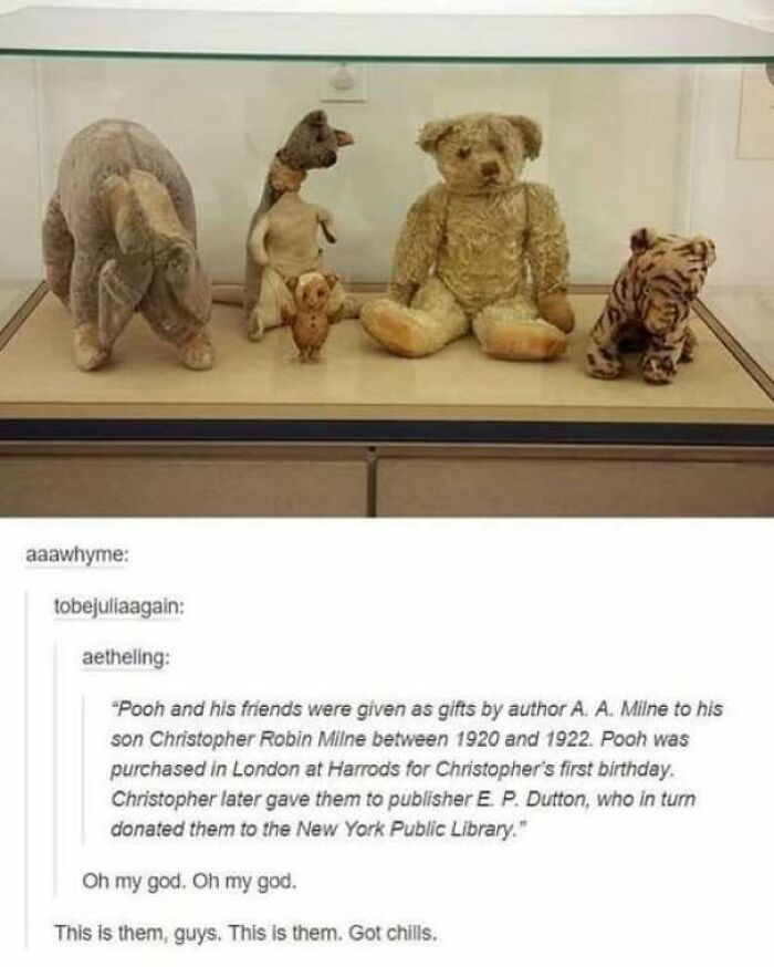 67 Wholesome Memes That Are Funny For All The Right Reasons 67 Wholesome Memes That Are Funny For All The Right Reasons