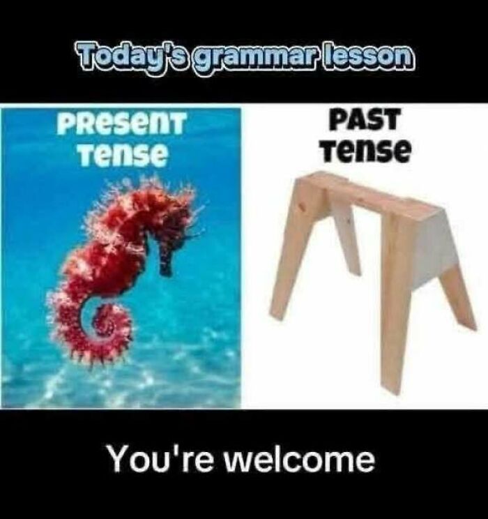 67 Wholesome Memes That Are Funny For All The Right Reasons 67 Wholesome Memes That Are Funny For All The Right Reasons