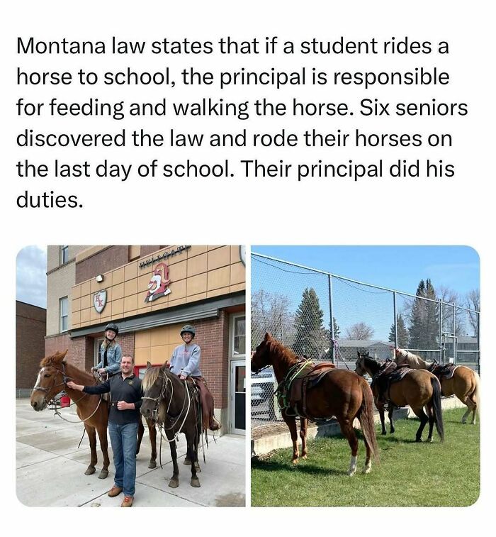 68 Of The Most Wholesome Moments That Were Shared On The Internet 68 Of The Most Wholesome Moments That Were Shared On The Internet
