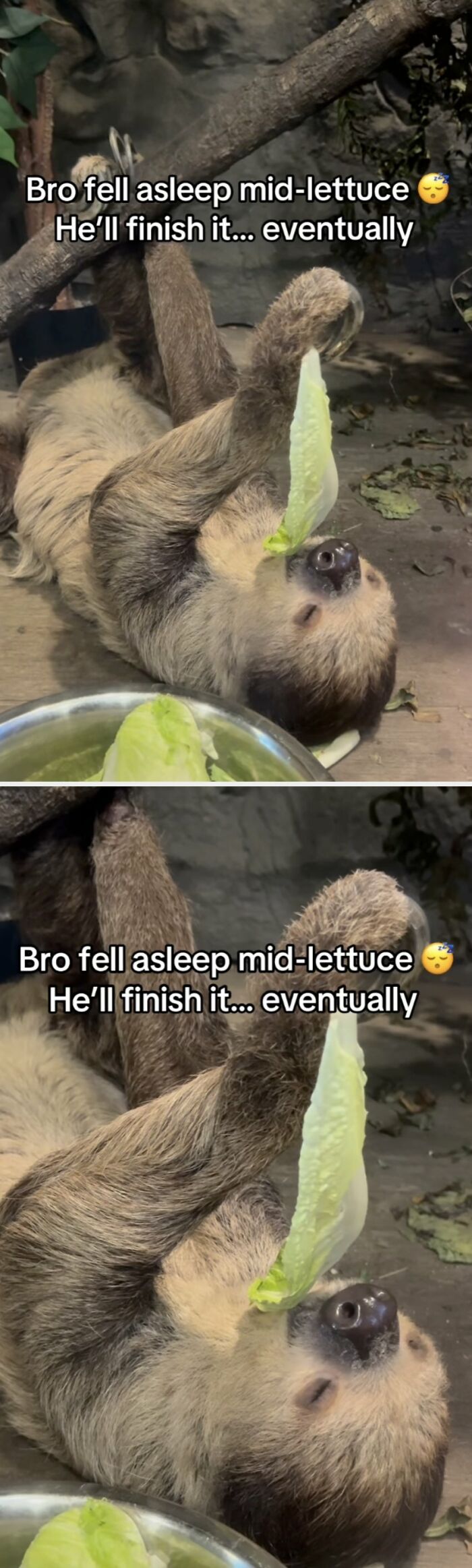 68 Of The Most Wholesome Moments That Were Shared On The Internet 68 Of The Most Wholesome Moments That Were Shared On The Internet