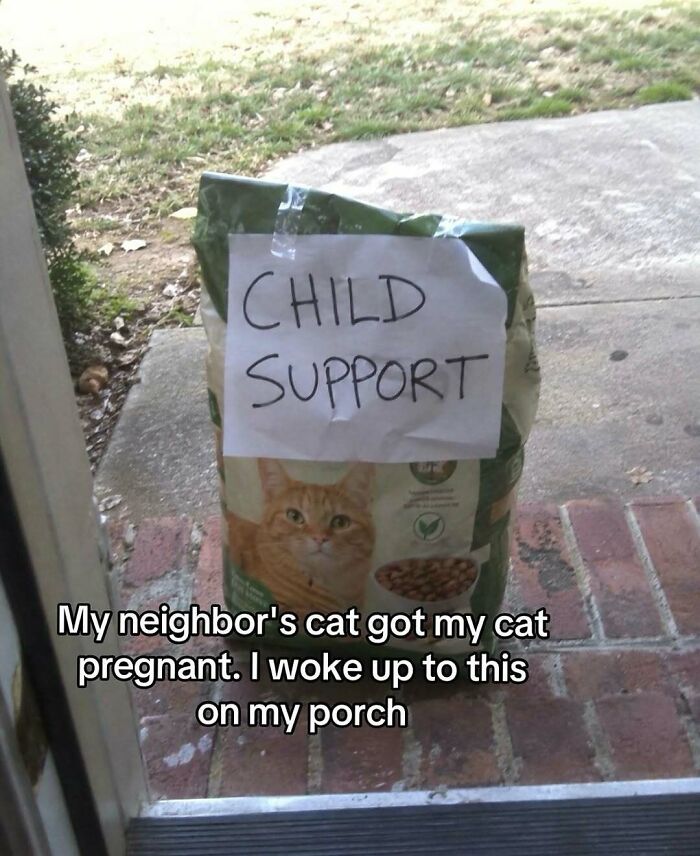 68 Of The Most Wholesome Moments That Were Shared On The Internet 68 Of The Most Wholesome Moments That Were Shared On The Internet