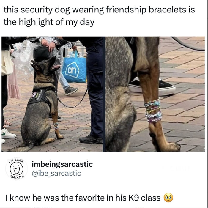 68 Of The Most Wholesome Moments That Were Shared On The Internet 68 Of The Most Wholesome Moments That Were Shared On The Internet