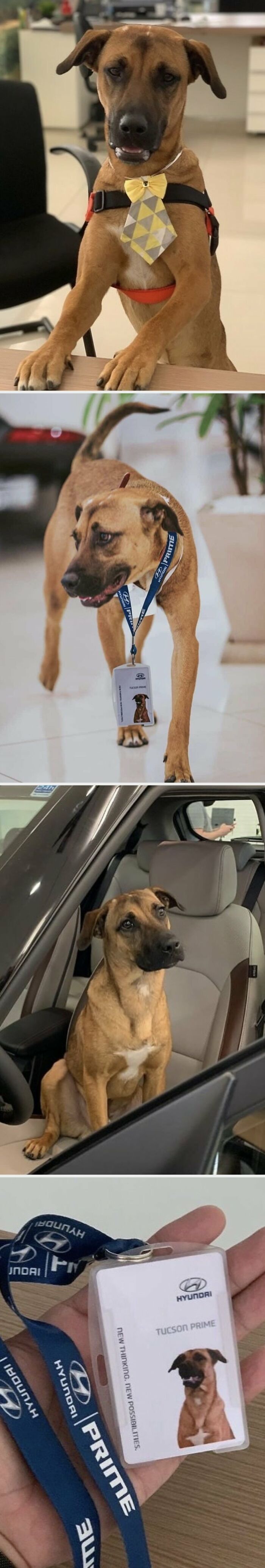 68 Of The Most Wholesome Moments That Were Shared On The Internet 68 Of The Most Wholesome Moments That Were Shared On The Internet