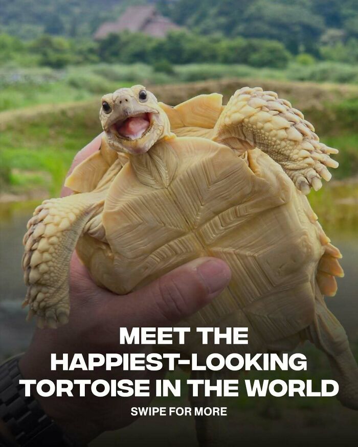 68 Of The Most Wholesome Moments That Were Shared On The Internet 68 Of The Most Wholesome Moments That Were Shared On The Internet