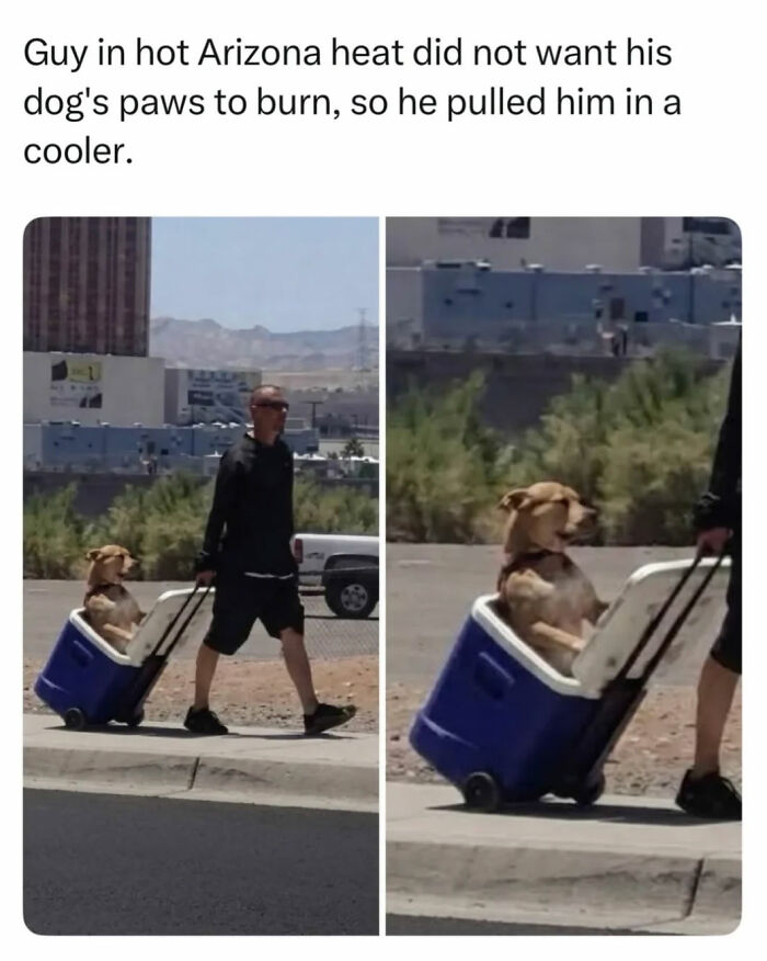 68 Of The Most Wholesome Moments That Were Shared On The Internet 68 Of The Most Wholesome Moments That Were Shared On The Internet