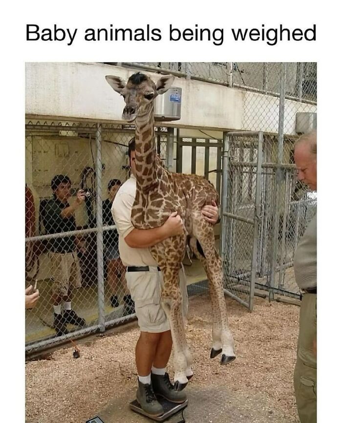 68 Of The Most Wholesome Moments That Were Shared On The Internet 68 Of The Most Wholesome Moments That Were Shared On The Internet