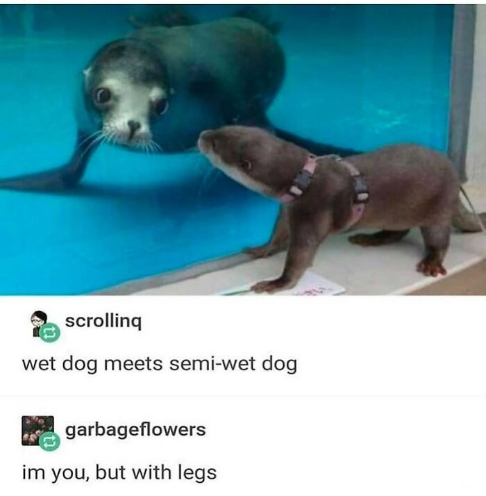 68 Of The Most Wholesome Moments That Were Shared On The Internet 68 Of The Most Wholesome Moments That Were Shared On The Internet