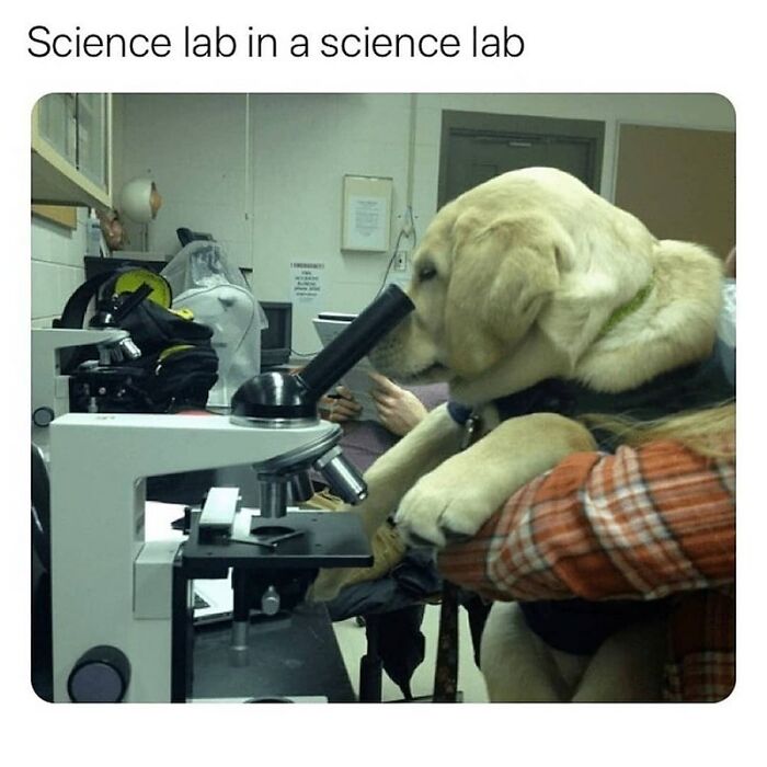 68 Of The Most Wholesome Moments That Were Shared On The Internet 68 Of The Most Wholesome Moments That Were Shared On The Internet