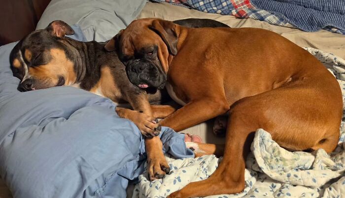 68 Of The Most Wholesome Moments That Were Shared On The Internet 68 Of The Most Wholesome Moments That Were Shared On The Internet