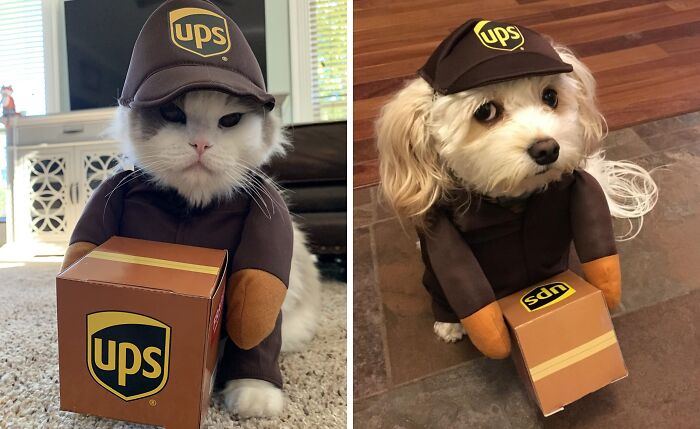 30 Hilarious Pet Halloween Costumes That Prove Your Fur Baby Was Born Ready For The Spotlight