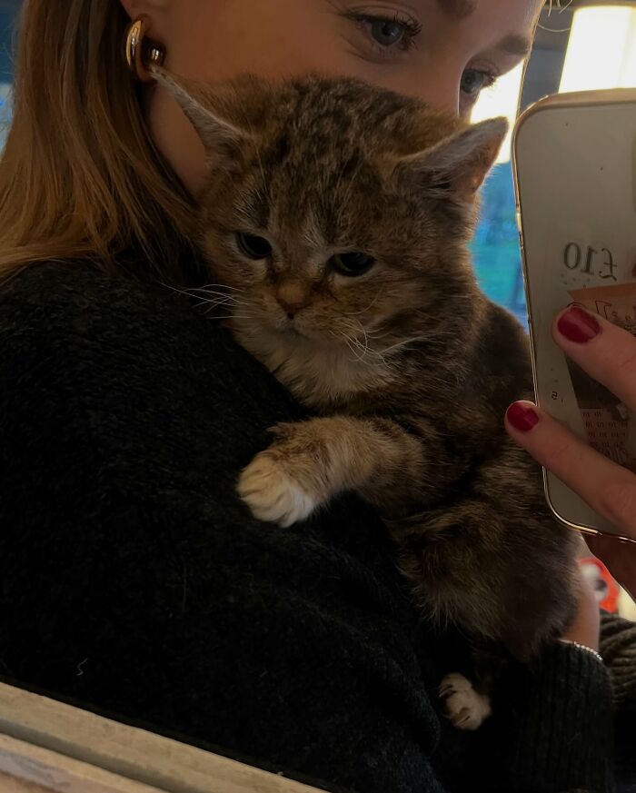 This Adorable Cat Stayed Kitten-Sized His Entire Life And Surprised Everyone By Living To 14 This Adorable Cat Stayed Kitten-Sized His Entire Life And Surprised Everyone By Living To 14