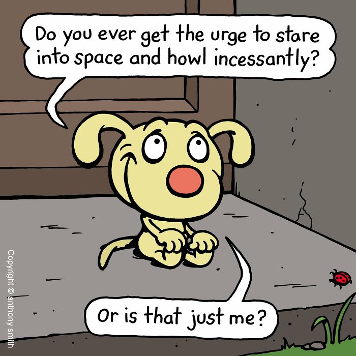 Artist Makes 30 Hilarious One-Panel Comics About A Cute Dog And His Daily Dilemmas (New Pics)