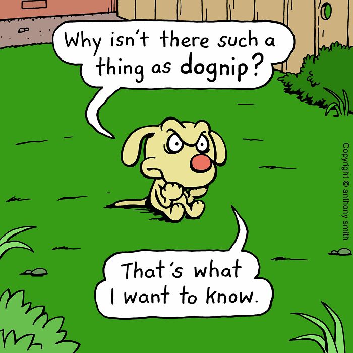 Artist Makes 30 Hilarious One-Panel Comics About A Cute Dog And His Daily Dilemmas (New Pics)