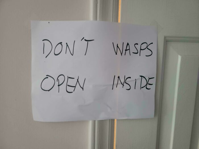 95 Terribly Designed Signs That Were Probably Not Proofread Even Once (New Pics) 95 Terribly Designed Signs That Were Probably Not Proofread Even Once (New Pics)