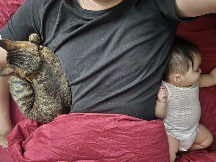 83 Wholesome Pics Of Dads Who Are Absolutely Nailing This Whole Fatherhood Thing (New Pics) 83 Wholesome Pics Of Dads Who Are Absolutely Nailing This Whole Fatherhood Thing (New Pics)
