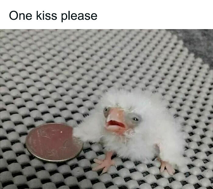 87 Memes So Relatable You Might Think Someone Made Them Specifically For You (New Pics) 87 Memes So Relatable You Might Think Someone Made Them Specifically For You (New Pics)