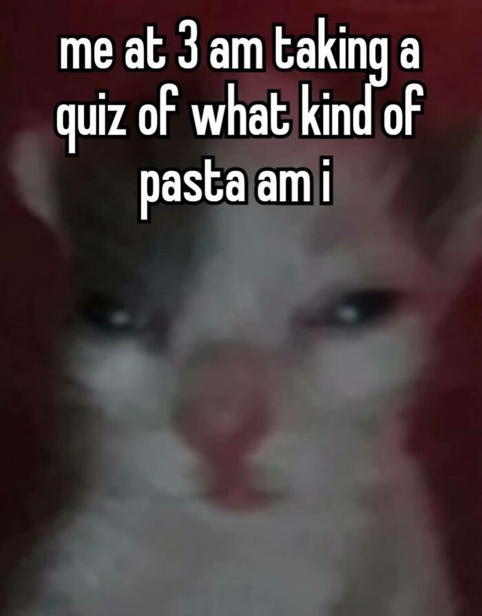 87 Memes So Relatable You Might Think Someone Made Them Specifically For You (New Pics) 87 Memes So Relatable You Might Think Someone Made Them Specifically For You (New Pics)