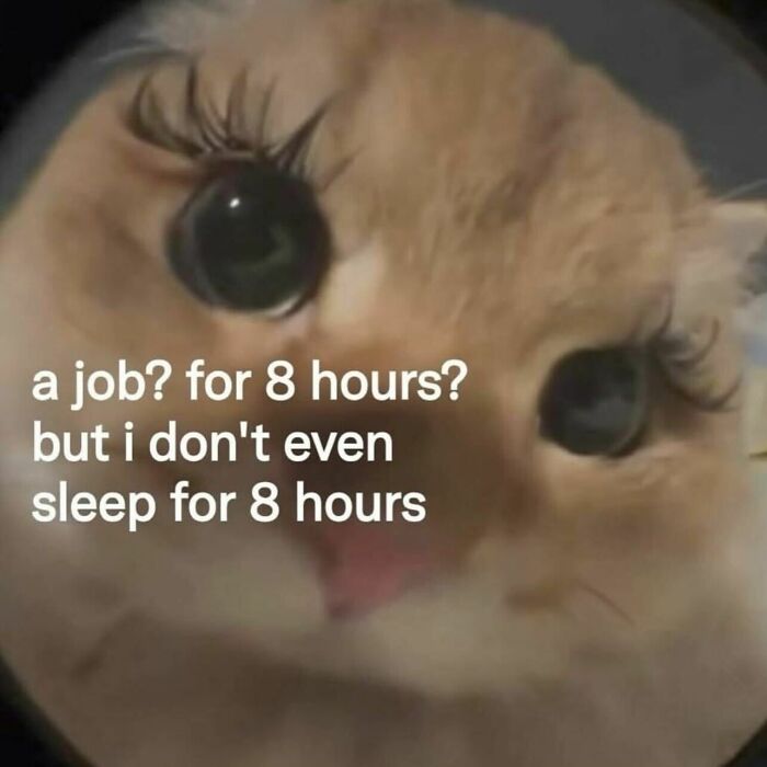 87 Memes So Relatable You Might Think Someone Made Them Specifically For You (New Pics) 87 Memes So Relatable You Might Think Someone Made Them Specifically For You (New Pics)