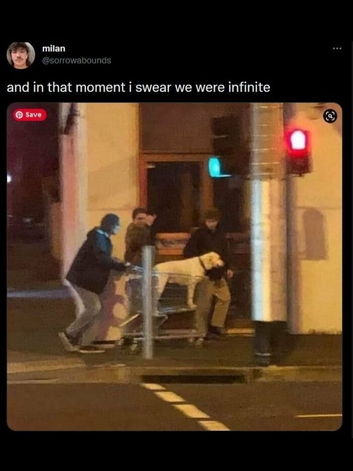 87 Memes So Relatable You Might Think Someone Made Them Specifically For You (New Pics) 87 Memes So Relatable You Might Think Someone Made Them Specifically For You (New Pics)