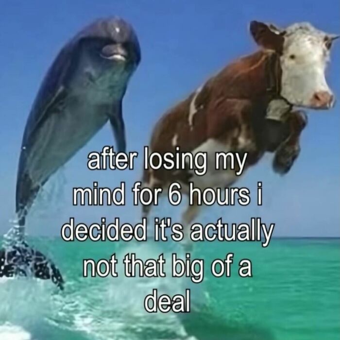 87 Memes So Relatable You Might Think Someone Made Them Specifically For You (New Pics) 87 Memes So Relatable You Might Think Someone Made Them Specifically For You (New Pics)