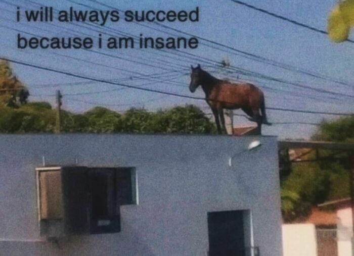 87 Memes So Relatable You Might Think Someone Made Them Specifically For You (New Pics) 87 Memes So Relatable You Might Think Someone Made Them Specifically For You (New Pics)