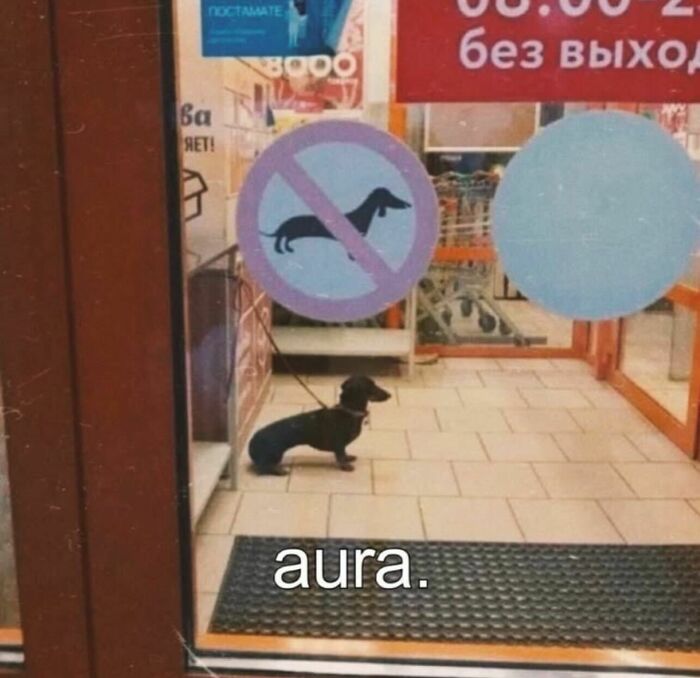 87 Memes So Relatable You Might Think Someone Made Them Specifically For You (New Pics) 87 Memes So Relatable You Might Think Someone Made Them Specifically For You (New Pics)