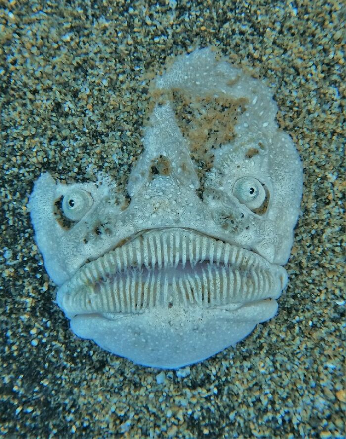65 Really Weird And Slightly Creepy Photos That Might Give You The Heebie-Jeebies