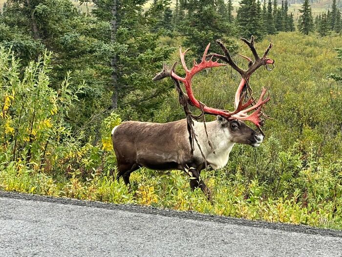 65 Really Weird And Slightly Creepy Photos That Might Give You The Heebie-Jeebies
