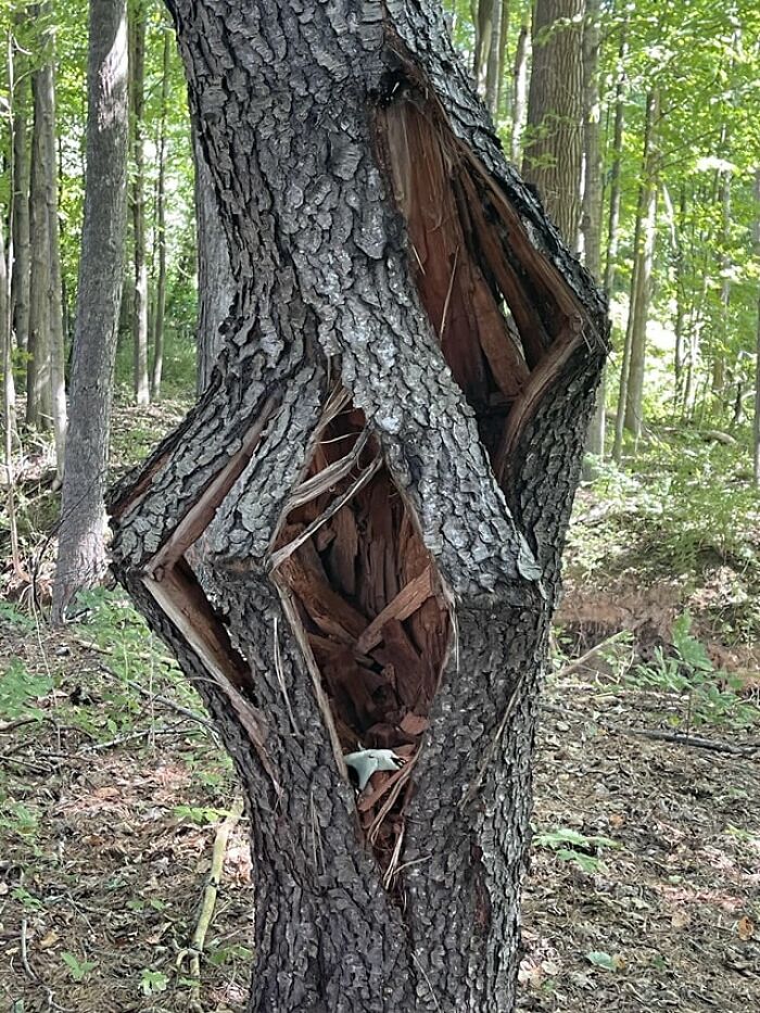 65 Really Weird And Slightly Creepy Photos That Might Give You The Heebie-Jeebies