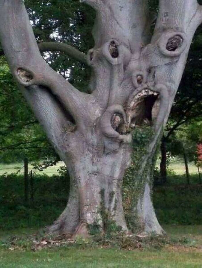 65 Really Weird And Slightly Creepy Photos That Might Give You The Heebie-Jeebies