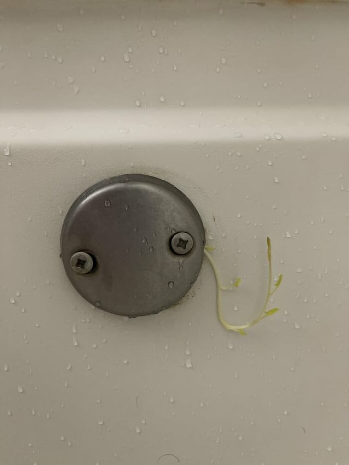 65 Really Weird And Slightly Creepy Photos That Might Give You The Heebie-Jeebies