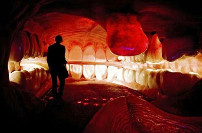 65 Really Weird And Slightly Creepy Photos That Might Give You The Heebie-Jeebies