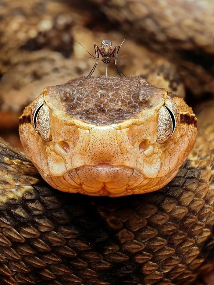 65 Really Weird And Slightly Creepy Photos That Might Give You The Heebie-Jeebies