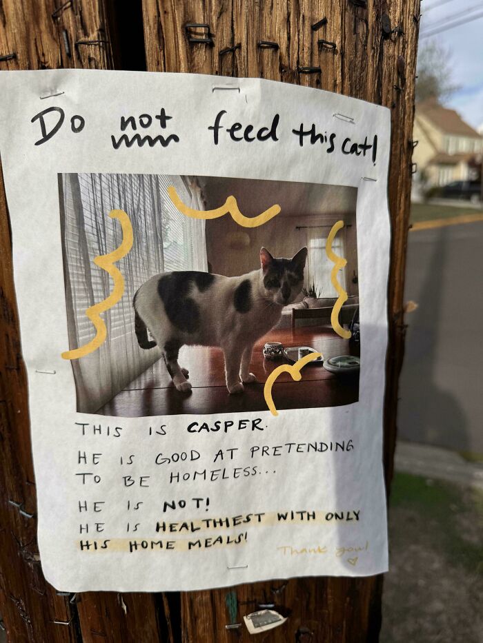 80 Hilarious Cat Crimes That Prove These Furry Suspects Are Always Up To Something 80 Hilarious Cat Crimes That Prove These Furry Suspects Are Always Up To Something