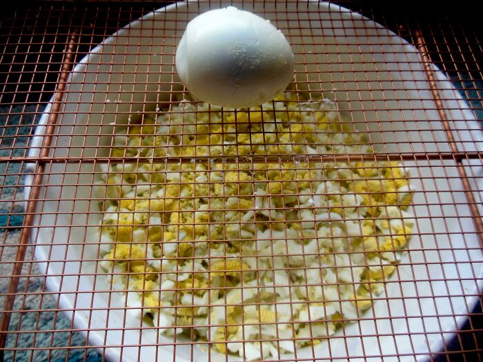 43 Fun And Simple Food Hacks That Even The Most Inexperienced May Find Useful (New Pics) 43 Fun And Simple Food Hacks That Even The Most Inexperienced May Find Useful (New Pics)