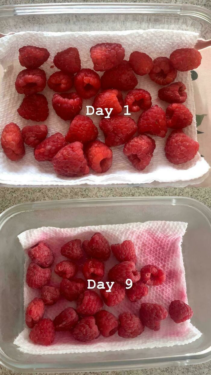 43 Fun And Simple Food Hacks That Even The Most Inexperienced May Find Useful (New Pics) 43 Fun And Simple Food Hacks That Even The Most Inexperienced May Find Useful (New Pics)