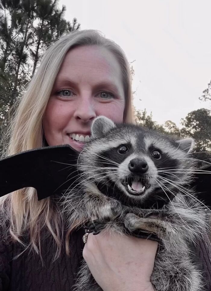 From Daring Rescues To Unlikely Friendships: 10 Raccoon Stories That Might Melt Your Heart