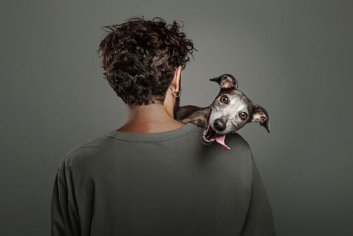 18 Winning Photos From The 2026 Dog Photography Awards That Capture Dogs At Their Best
