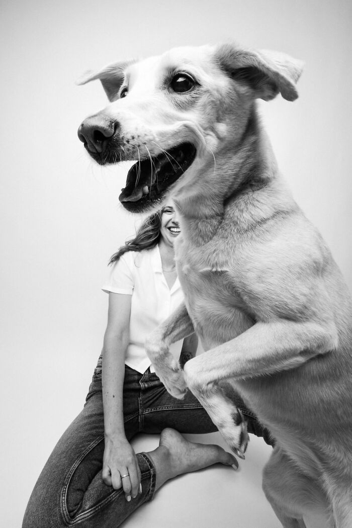 18 Winning Photos From The 2026 Dog Photography Awards That Capture Dogs At Their Best