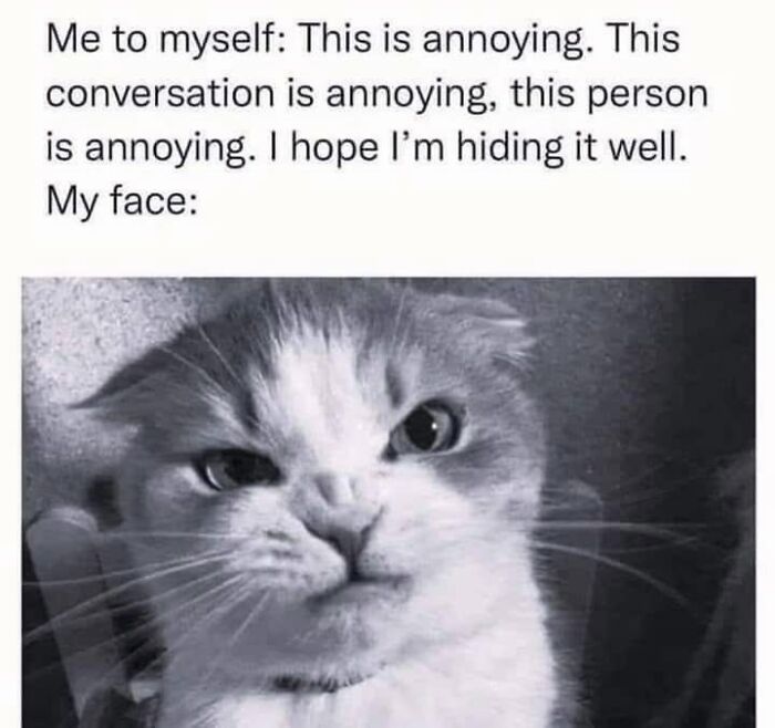 If You Live With A Cat, These 51 Funny Memes Shared By This Page Might Feel A Little Too Familiar If You Live With A Cat, These 51 Funny Memes Shared By This Page Might Feel A Little Too Familiar