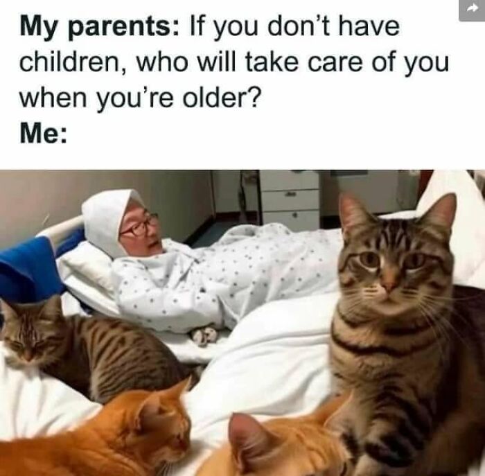 If You Live With A Cat, These 51 Funny Memes Shared By This Page Might Feel A Little Too Familiar If You Live With A Cat, These 51 Funny Memes Shared By This Page Might Feel A Little Too Familiar