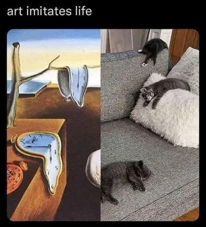 If You Live With A Cat, These 51 Funny Memes Shared By This Page Might Feel A Little Too Familiar If You Live With A Cat, These 51 Funny Memes Shared By This Page Might Feel A Little Too Familiar