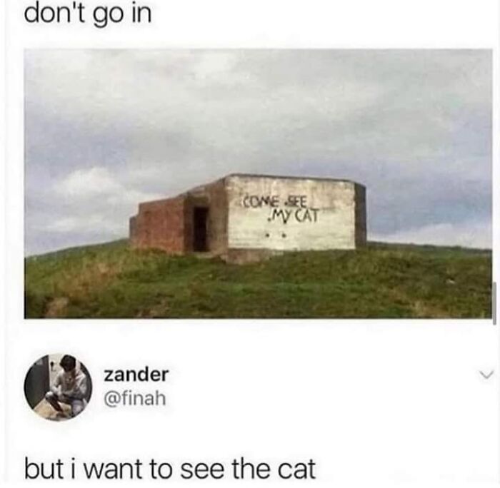 If You Live With A Cat, These 51 Funny Memes Shared By This Page Might Feel A Little Too Familiar If You Live With A Cat, These 51 Funny Memes Shared By This Page Might Feel A Little Too Familiar
