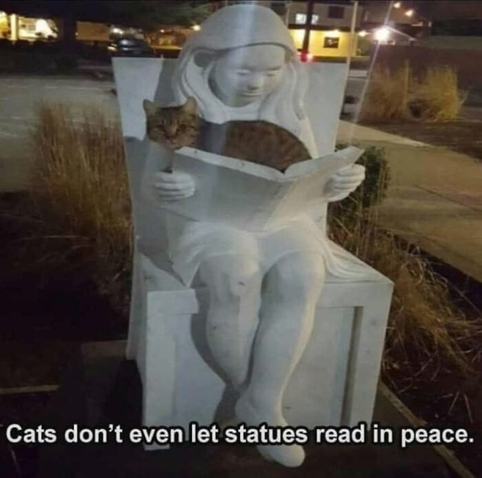 If You Live With A Cat, These 51 Funny Memes Shared By This Page Might Feel A Little Too Familiar If You Live With A Cat, These 51 Funny Memes Shared By This Page Might Feel A Little Too Familiar