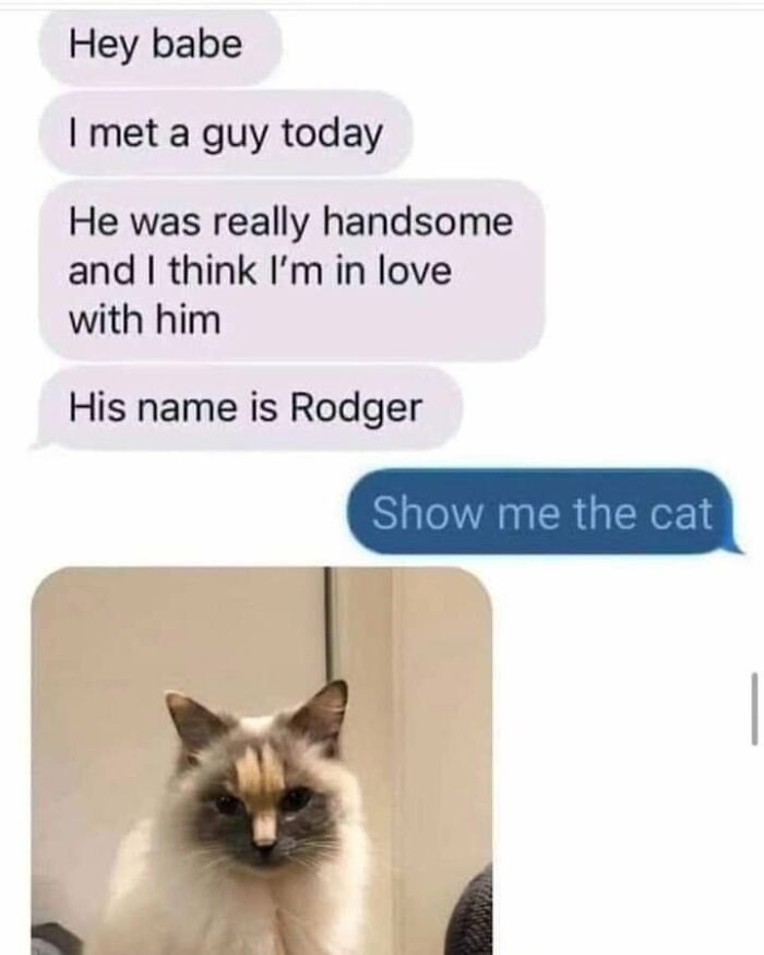 If You Live With A Cat, These 51 Funny Memes Shared By This Page Might Feel A Little Too Familiar If You Live With A Cat, These 51 Funny Memes Shared By This Page Might Feel A Little Too Familiar