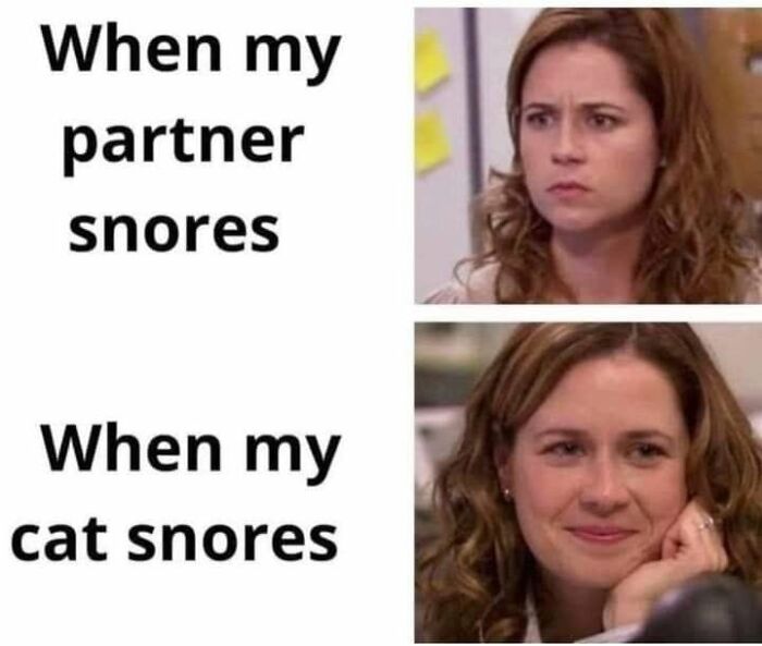 If You Live With A Cat, These 51 Funny Memes Shared By This Page Might Feel A Little Too Familiar If You Live With A Cat, These 51 Funny Memes Shared By This Page Might Feel A Little Too Familiar