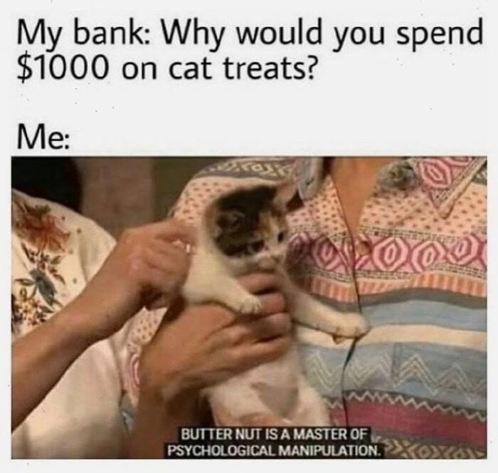 If You Live With A Cat, These 51 Funny Memes Shared By This Page Might Feel A Little Too Familiar If You Live With A Cat, These 51 Funny Memes Shared By This Page Might Feel A Little Too Familiar