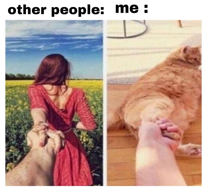 If You Live With A Cat, These 51 Funny Memes Shared By This Page Might Feel A Little Too Familiar If You Live With A Cat, These 51 Funny Memes Shared By This Page Might Feel A Little Too Familiar