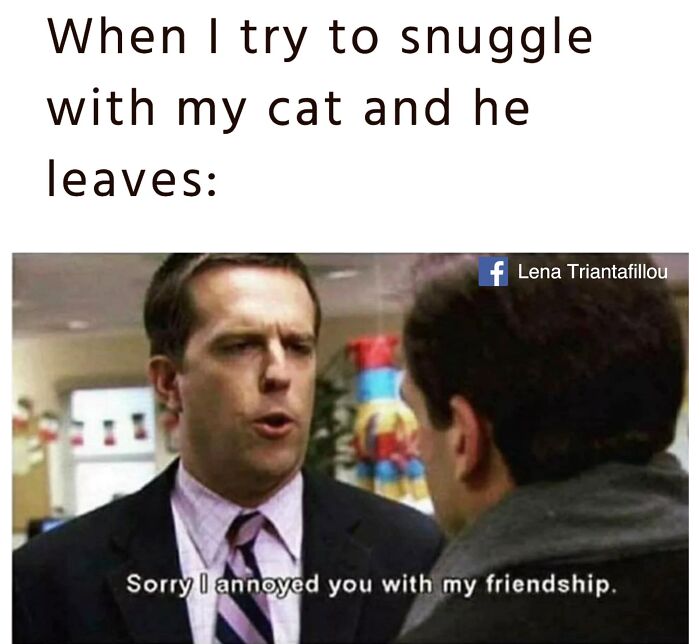 If You Live With A Cat, These 51 Funny Memes Shared By This Page Might Feel A Little Too Familiar If You Live With A Cat, These 51 Funny Memes Shared By This Page Might Feel A Little Too Familiar